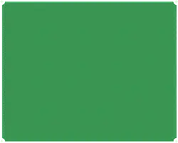 Green Background - solid color - High Resolution PNG