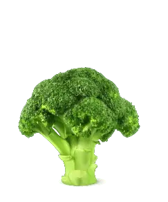 Broccoli - High Resolution PNG - healthy