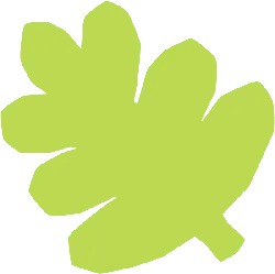 Leaf - green - Free PNG