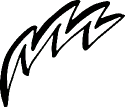 Black Owl - night hunting - No Watermark PNG