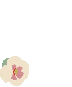 Pink Flower - nature - Transparent Layer PNG
