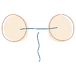 Glasses - nose bridge - Free PNG