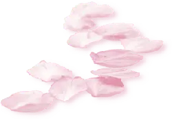 Pink Petals - Curated PNG - romantic