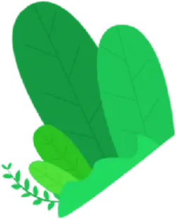 Green Plant - nature - environmental protection - Transparent Layer PNG