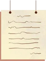 Brown Line Drawing - simple - Free PNG