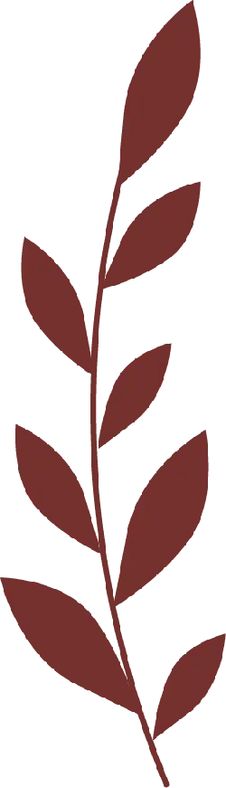 Brown Leaf Branch - brown - No Background PNG