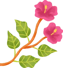 Pink Flowers and Green Leaves - plant - PNG Images