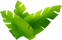 Banana Leaf - Trending PNG - plant