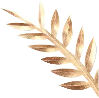 Palm Leaf - decoration - nature - Free Download PNG