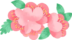 Peach Blossom - Free PNG - High Quality PNG