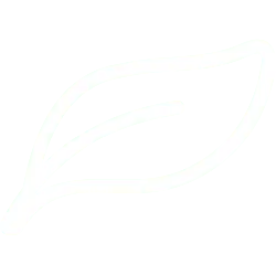 Leaf - environmental protection - Free PNG