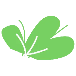 Four Leaf Clover - leaves - symbol - Free PNG