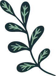 Green Plant Branch - nature - leaves - No Watermark PNG