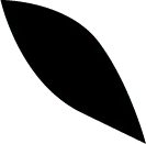 Fast Download PNG - black - Black Cat - Pic 7