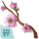 Cherry Blossom Branch - flower - Curated PNG