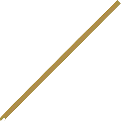 Gold Bar - colorful - Transparent Background PNG