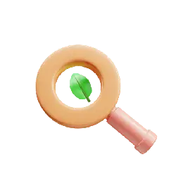 Leaf in Magnifying Glass - magnifying glass - High Resolution PNG