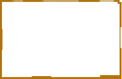 Black Cat - black - PNG - Pic 9