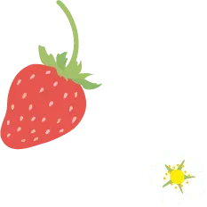 Strawberry - High Quality PNG - High Download Count PNG