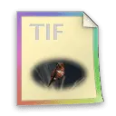 TIFF File Icon - TIFF - Free PNG