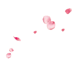 Pink Petals - High Download Count PNG - PNG Images