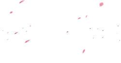 Pink Petals Falling - falling - High Download Count PNG