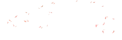 Pink Butterfly - nature - Lossless PNG