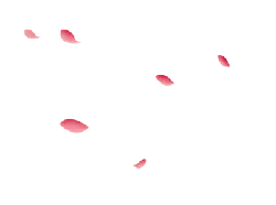 Pink Petals - pink - Free PNG