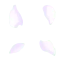 Petals - Transparent Background PNG