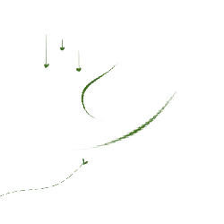 Apple - arrows - Transparent Background PNG
