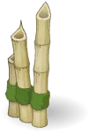 Bamboo - plant - ecology - PNG