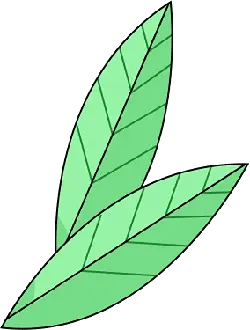 Three Leaves - Free PNG