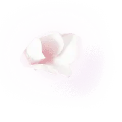 Pink Flower - Fast Download PNG - beautiful