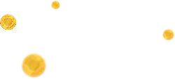 Coin - Curated PNG