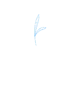 Blue Line Drawing Leaf - minimalistic - Free PNG
