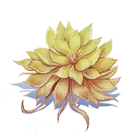 Yellow Lotus - lotus - No Background PNG