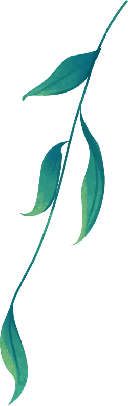 Green Plant Branch - minimalism - High Resolution PNG