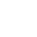 Petals Pattern - symmetry - white - High Resolution PNG