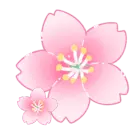 Cherry Blossom - Free Download PNG - nature - Pic 1