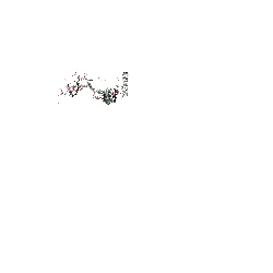 Plum Blossom - spring - beautiful - Free PNG