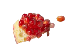 Pomegranate - High Resolution PNG - red