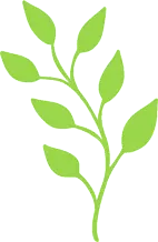 Green Leafy Branch - plant - leaves - No Background PNG