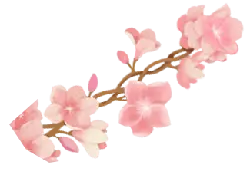 Pink Cherry Blossom Branch - nature - No Background PNG