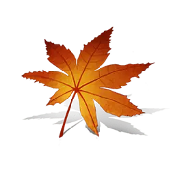 Maple Leaf - Free for Commercial Use PNG - red