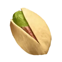 Pistachio - green - Lossless PNG