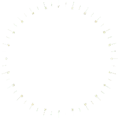 Clock - circular - Fast Download PNG