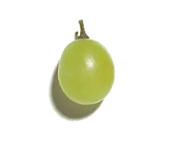 Grape - Fast Download PNG