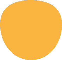 Orange Circle - circle - No Background PNG