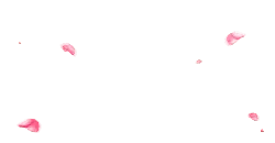 Pink Petals - lightweight - PNG