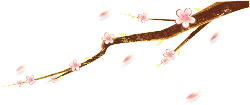 Cherry Blossom Branch - nature - branch - High Resolution PNG